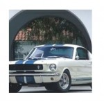 Отзывы о nakladki-auto.ru интернет-магазин