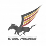 Отзывы о Аренда авто в Дубае Steel Pegasus