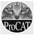 Отзывы о Прокат автомобилей procat.com