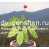 dv-genshen.ru