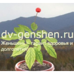 Отзывы о dv-genshen.ru