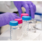 Отзывы о Интернет-магазин Mersana