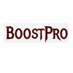 Отзывы о boostpro.ru сервис игровых услуг