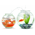 Отзывы о Интернет-магазин AkvaLio