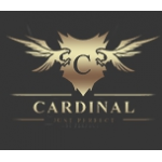 Отзывы о Интернет-магазин dvr-cardinal