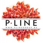 Отзывы о PlineGroup