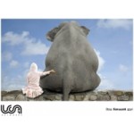 Отзывы о UCA Networks