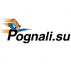 Компания Pognali.su