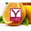 Типография Y-card