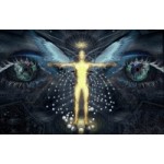 Отзывы о Школа Космоэнергетики имени В.А.Петрова