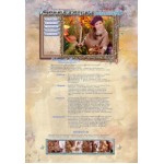 Отзывы о Арт-фотостудия "Коллекция воспоминаний"