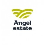 Отзывы о Angel Estate агентство недвижимости
