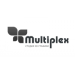 Отзывы о Студия 3D графики Multiplex