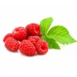 Отзывы о Питомник растений Вери-Бери