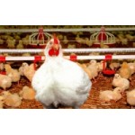 Отзывы о ЗАО Приосколье