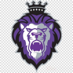 Отзывы о strongpush.ru