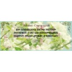 Отзывы о Альянс Спецстрой