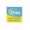 Системы мониторинга транспорта Trivi.ru