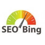 Отзывы о Студия Романа Челлера "SEOBing"