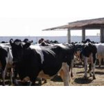 Отзывы о ООО "ВБ ГРУПП"