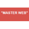 Студия веб дизайна MasterWEB
