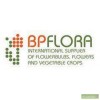 Компания BPFlora