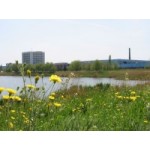 Отзывы о Азовский комбинат детского питания