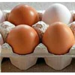 Отзывы о "Щелковская птицефабрика" ЗАО