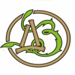 Отзывы о Ортопедический салон Дом Здоровья