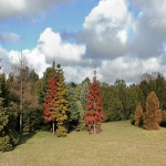 Отзывы о Культурно-оздоровительный центр «Источник молодости» (Краснодар, ул.Кузнечная 21)