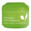 Крем для лица ZIAJA Natural Olive Cream для нормальной и сухой кожи