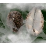 Отзывы о Колдун Дабор из Казани