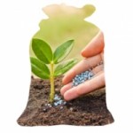 Отзывы о Питомник растений Cash & Carry