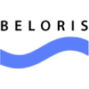Интернет-магазин Beloris (Белорис)