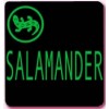 Обувь Salamander