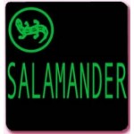 Отзывы о Обувь Salamander