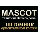 Отзывы о Питомник ориентальной кошки Mascot