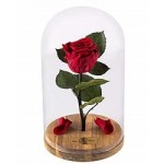 Отзывы о Роза в стеклянной колбе