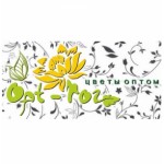 Отзывы о Интернет-магазине "ОПТ-РОЗ"