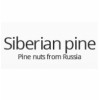 Сибирская сосна (Siberian pine) интернет-магазин
