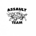 Отзывы о assault-team.ru интернет-магазин