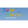 Интернет-магазин светильников SvetBerry