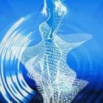 Отзывы о Beauty Plaza (БЬЮТИ ПЛАЗА)