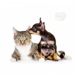 Отзывы о Центр ветеринарной клиники на Каховке