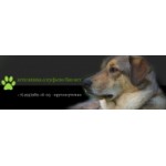 Отзывы о Алтуфьево Био-Вет