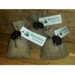 Отзывы о Верминал