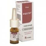 Отзывы о Будостер