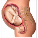 Отзывы о Беременность