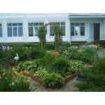 Отзывы о Детский сад № 1249, Москва