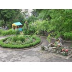 Отзывы о Детский сад № 1431 в Москве